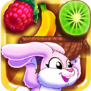 Bunny Frenzy Icon